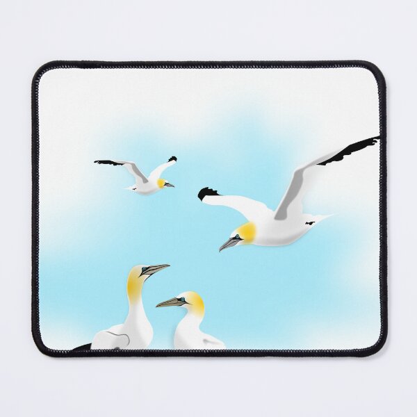 Item preview, Gannets, Brittany, Breizh, BZH designed and sold by NolDesigns.