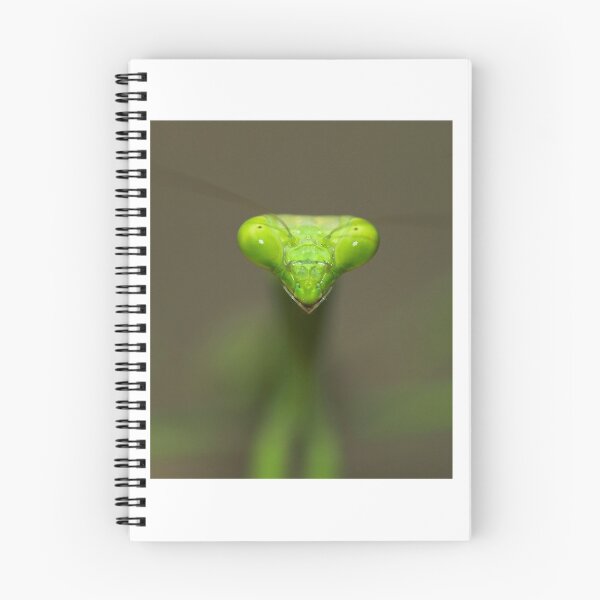 Item preview, "Take Me To Your Leader!" designed and sold by Tamas Bakos.