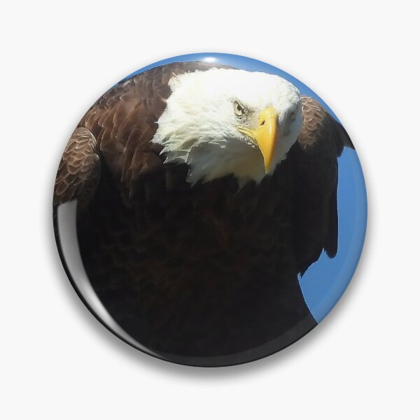 Item preview, American Bald Eagle designed and sold by Jeffrey Mask.