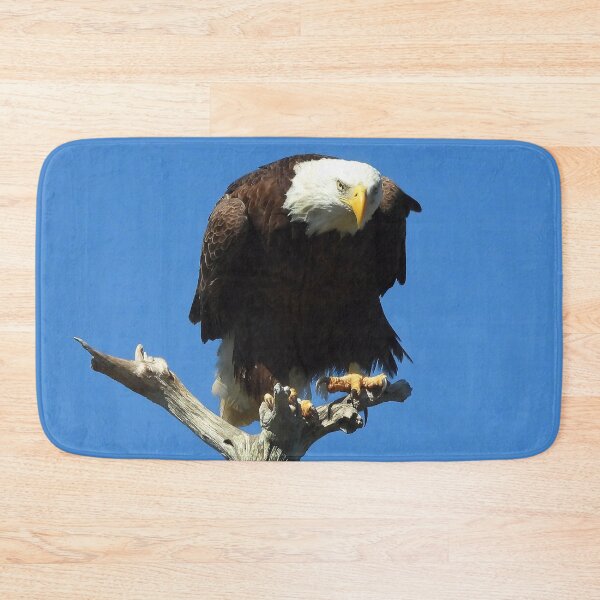 Item preview, American Bald Eagle designed and sold by Jeffrey Mask.