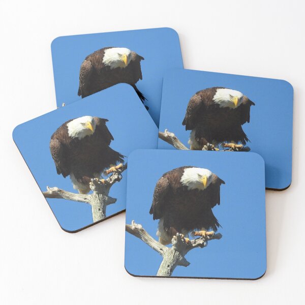 Item preview, American Bald Eagle designed and sold by Jeffrey Mask.