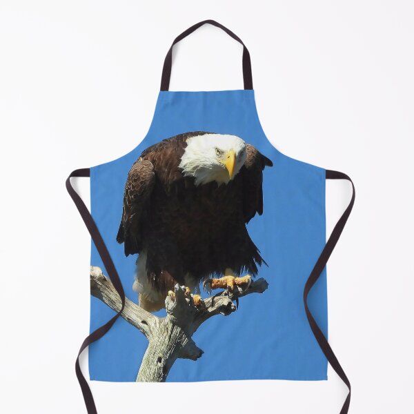 Item preview, American Bald Eagle designed and sold by Jeffrey Mask.