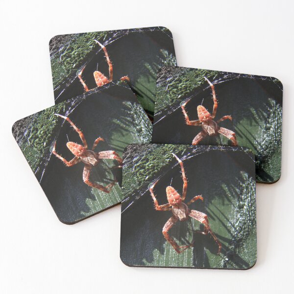 Item preview, Garden Cross Spider designed and sold by days-photographic.