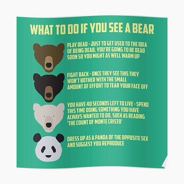 what-to-do-if-you-see-a-bear-poster-for-sale-by-stuffonthings-redbubble