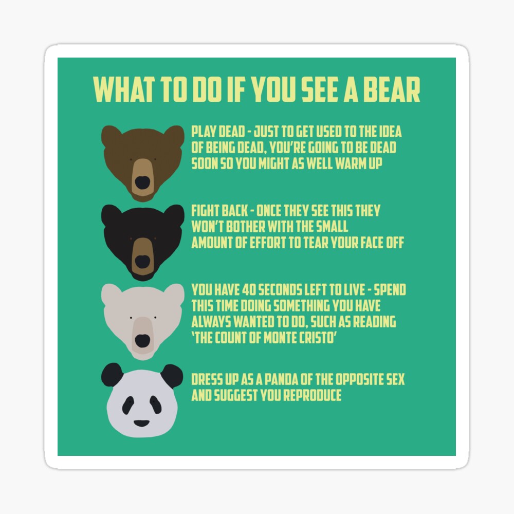 What to do if you see a Bear