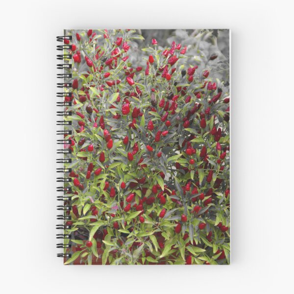 Item preview, birdseye chillies designed and sold by BigAndRed.