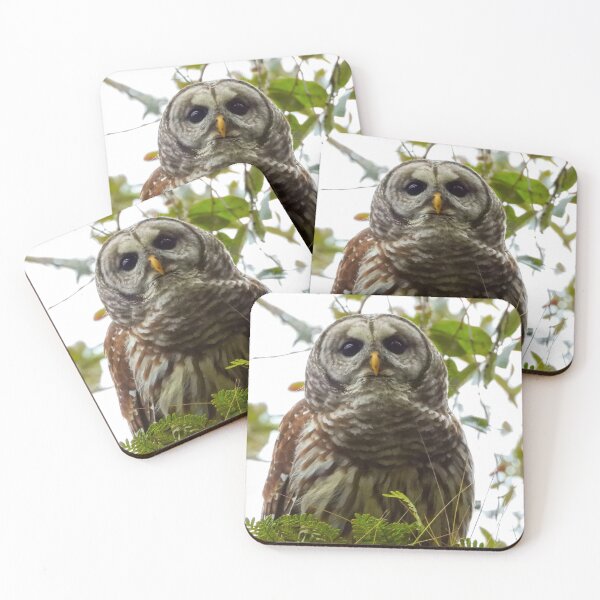 Item preview, Barred Owl designed and sold by Jeffrey Mask.