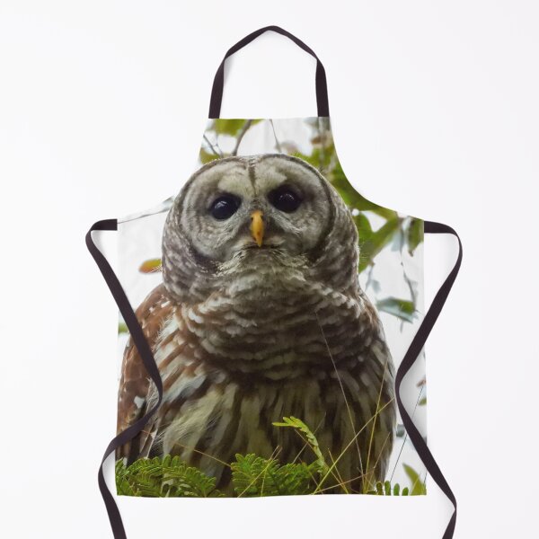 Item preview, Barred Owl designed and sold by Jeffrey Mask.