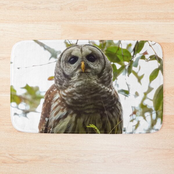 Item preview, Barred Owl designed and sold by Jeffrey Mask.