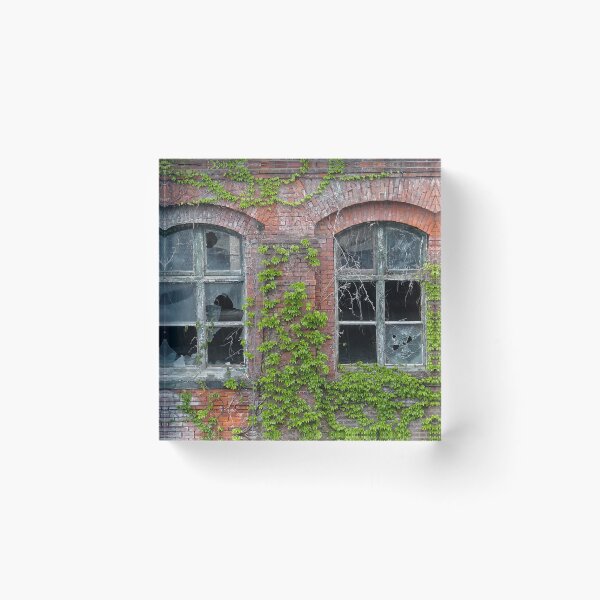 Item preview, Arches, Vines, and Entropy designed and sold by Steven Godfrey.