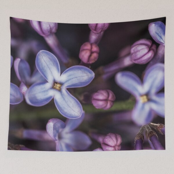 Item preview, Lilacs close up designed and sold by Roger Porter Photography.