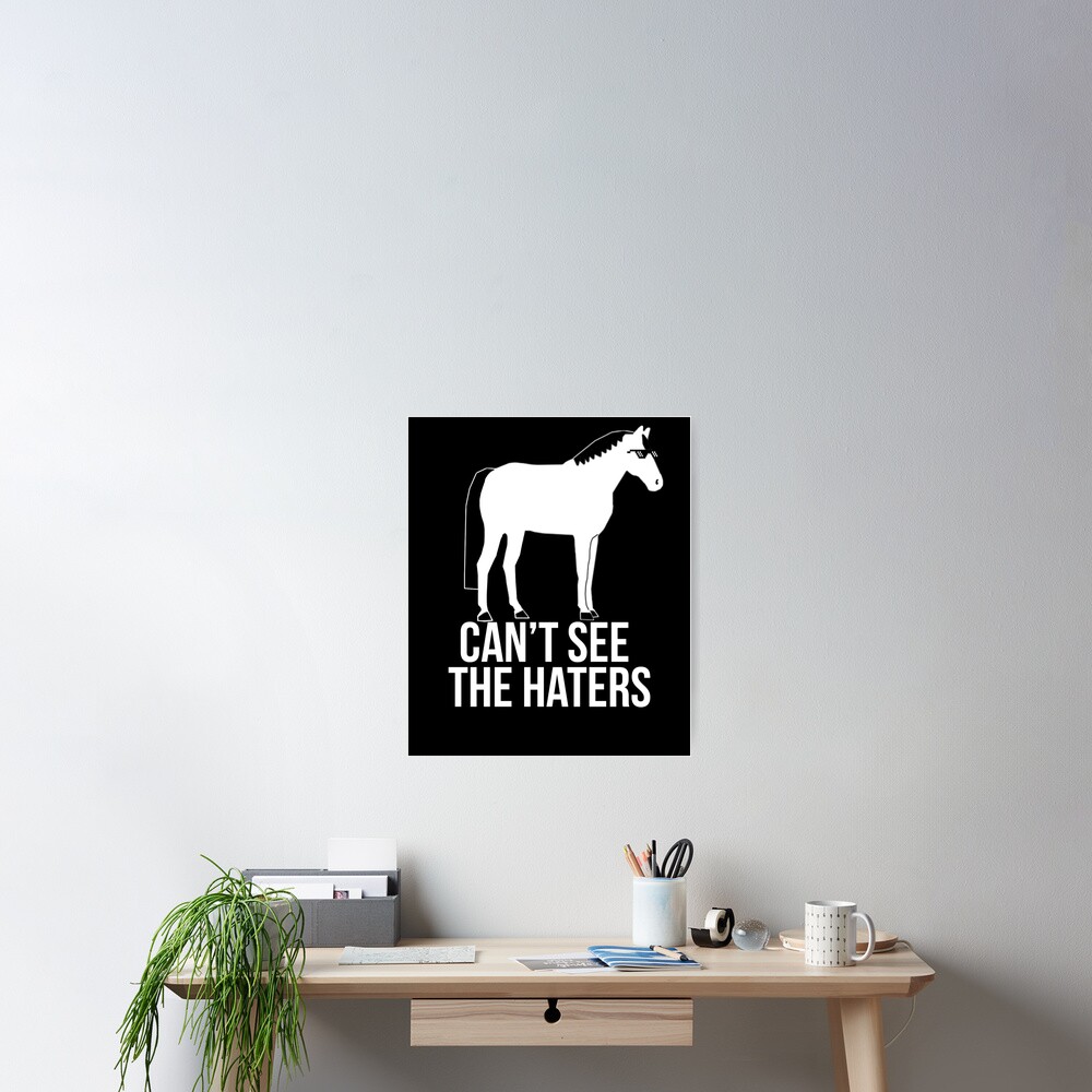 "Cant See the Haters" Poster by milestoneequest Redbubble