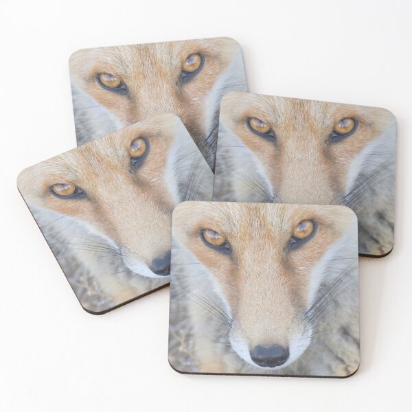 Item preview, Fox designed and sold by Betsy Seeton.