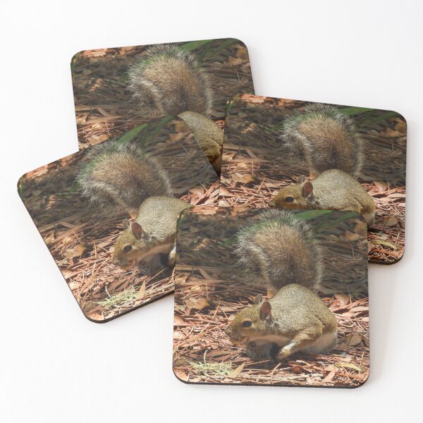 Item preview, Cute Squirrel #0036 designed and sold by Jeffrey Mask.