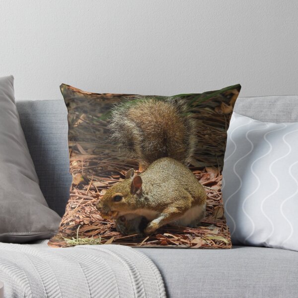 Item preview, Cute Squirrel #0036 designed and sold by Jeffrey Mask.