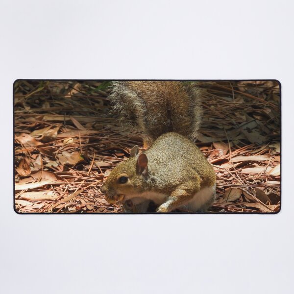 Item preview, Cute Squirrel #0036 designed and sold by Jeffrey Mask.