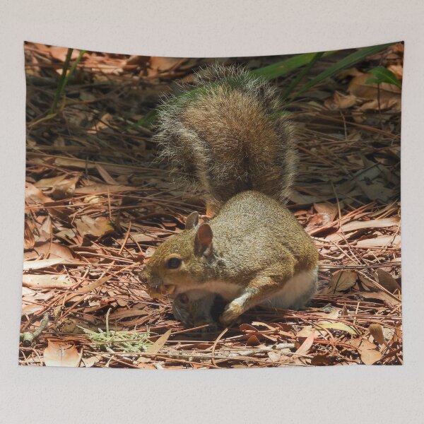 Item preview, Cute Squirrel #0036 designed and sold by Jeffrey Mask.