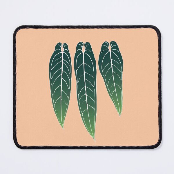 Item preview, Anthurium Warocqueanum Leaves designed and sold by zykydesigns.