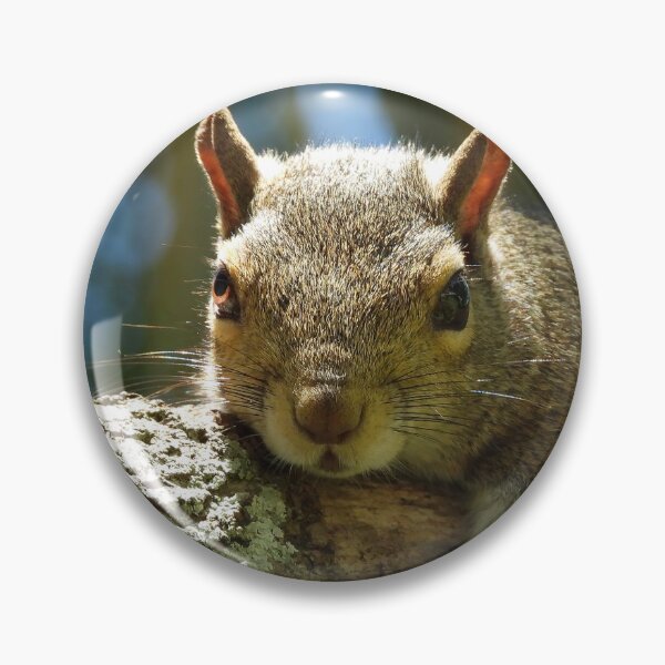 Item preview, Cute Squirrel #0037 designed and sold by Jeffrey Mask.
