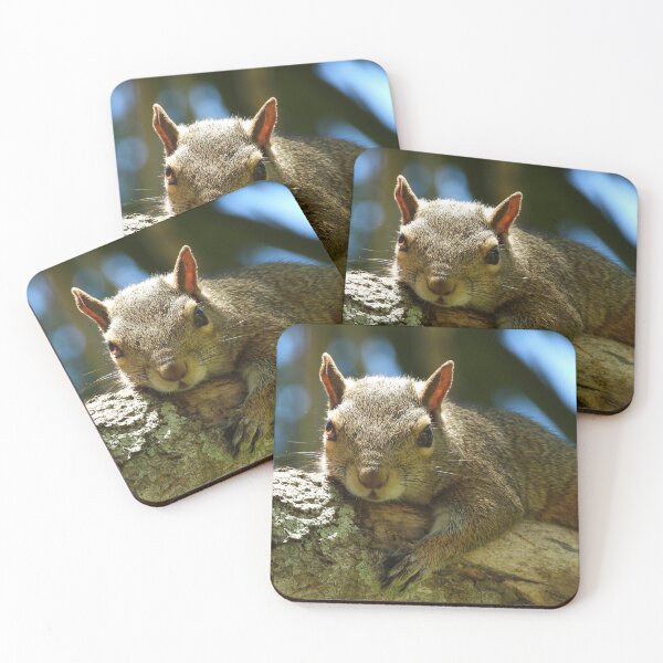Item preview, Cute Squirrel #0037 designed and sold by Jeffrey Mask.