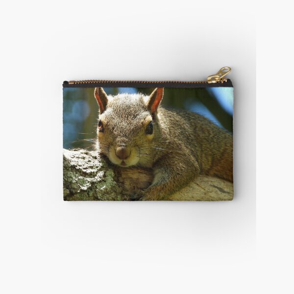 Item preview, Cute Squirrel #0037 designed and sold by Jeffrey Mask.