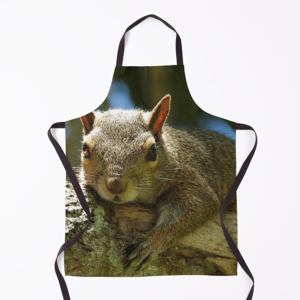 Item preview, Cute Squirrel #0037 designed and sold by Jeffrey Mask.