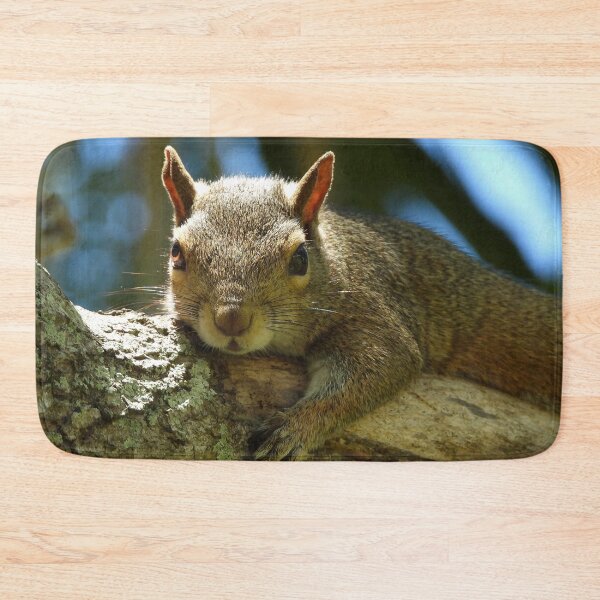 Item preview, Cute Squirrel #0037 designed and sold by Jeffrey Mask.