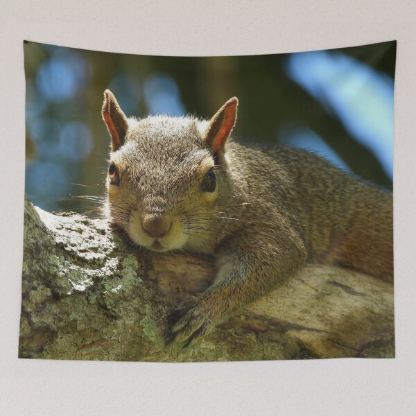 Item preview, Cute Squirrel #0037 designed and sold by Jeffrey Mask.
