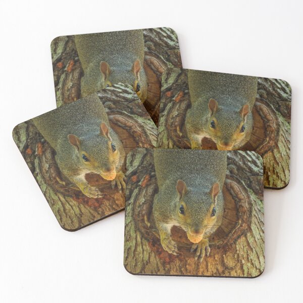 Item preview, Cute Squirrel #0040 designed and sold by Jeffrey Mask.