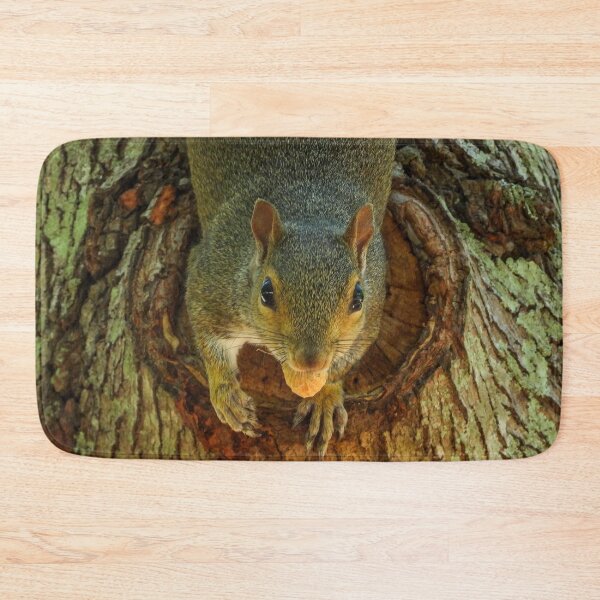 Item preview, Cute Squirrel #0040 designed and sold by Jeffrey Mask.