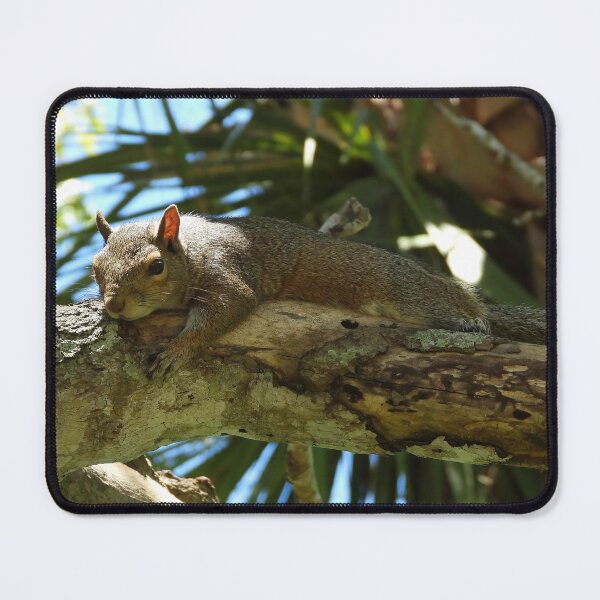 Item preview, Cute Squirrel #0038 designed and sold by Jeffrey Mask.