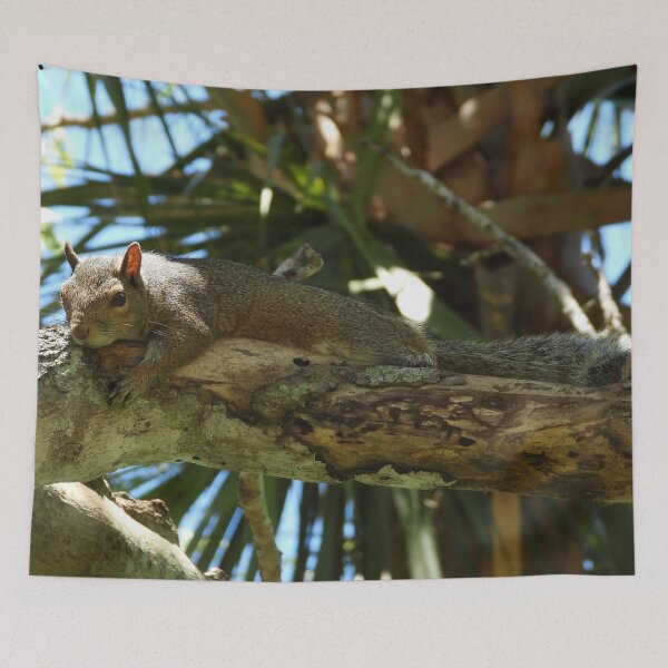 Item preview, Cute Squirrel #0038 designed and sold by Jeffrey Mask.