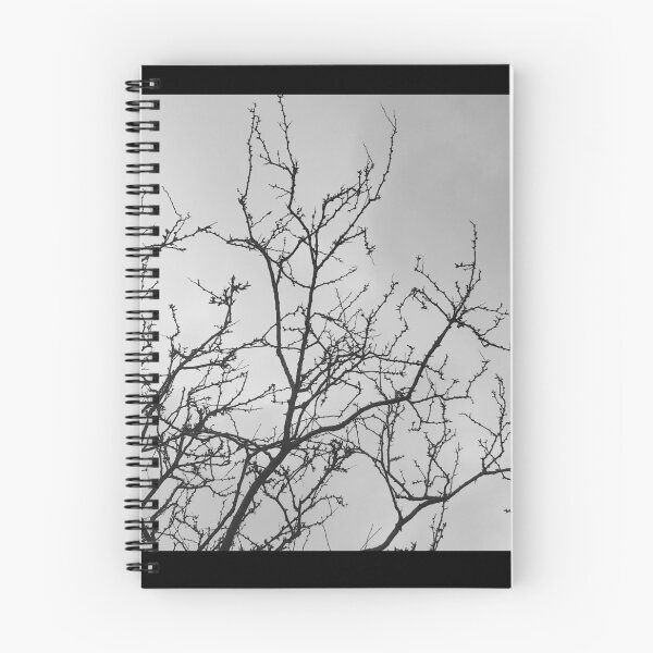 Item preview, Bare tree, cloudy sky designed and sold by FrauStine.