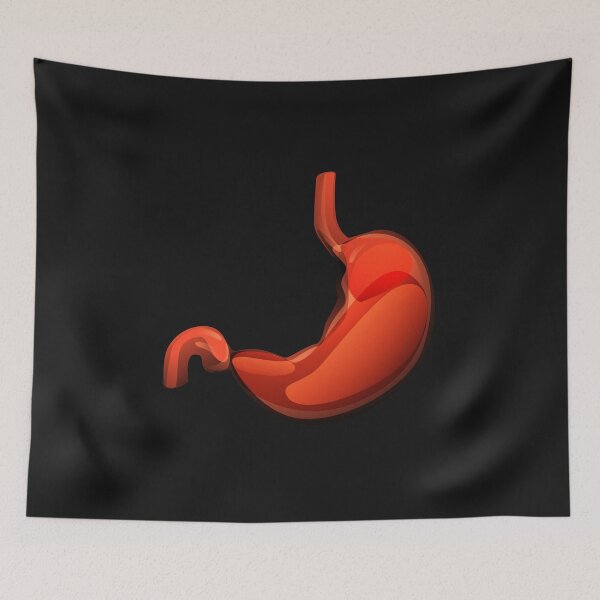 Item preview, Stomach internal organ -eat designed and sold by mirrorimages.