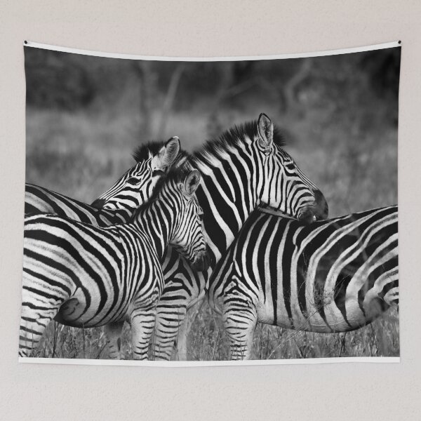 Item preview, Zebras in the Wild designed and sold by Jiksy.