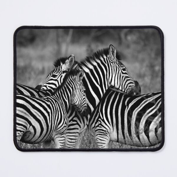 Item preview, Zebras in the Wild designed and sold by Jiksy.