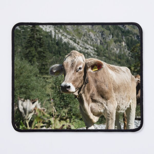 Item preview, Oberstdorf Oytal cow beef - Allgäu Alps designed and sold by xP42.