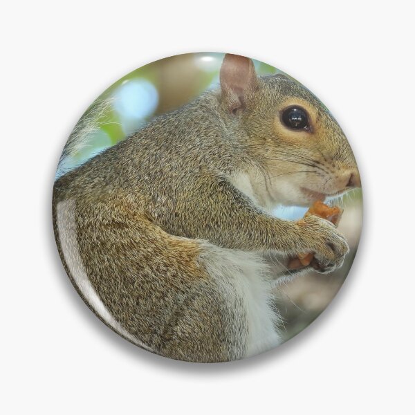 Item preview, Cute Squirrel #0039 designed and sold by Jeffrey Mask.
