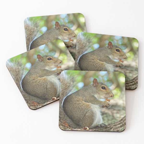 Item preview, Cute Squirrel #0039 designed and sold by Jeffrey Mask.
