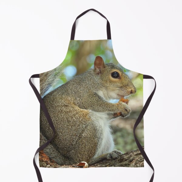 Item preview, Cute Squirrel #0039 designed and sold by Jeffrey Mask.