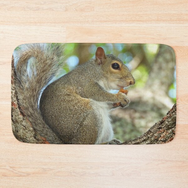 Item preview, Cute Squirrel #0039 designed and sold by Jeffrey Mask.