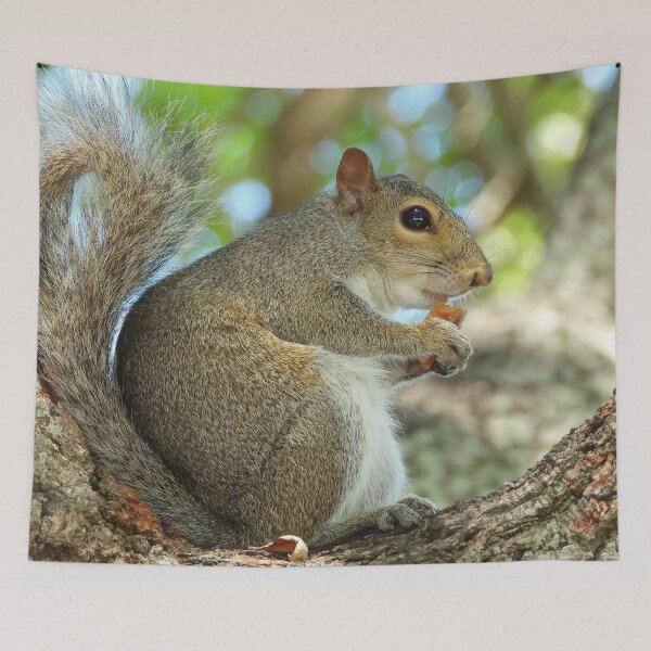 Item preview, Cute Squirrel #0039 designed and sold by Jeffrey Mask.