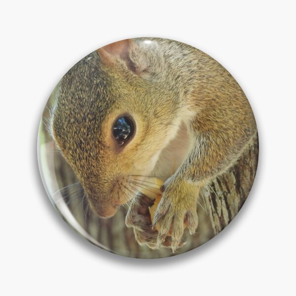 Item preview, Cute Squirrel #0041 designed and sold by Jeffrey Mask.