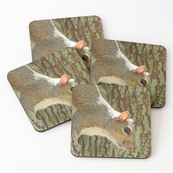 Item preview, Cute Squirrel #0042 designed and sold by Jeffrey Mask.