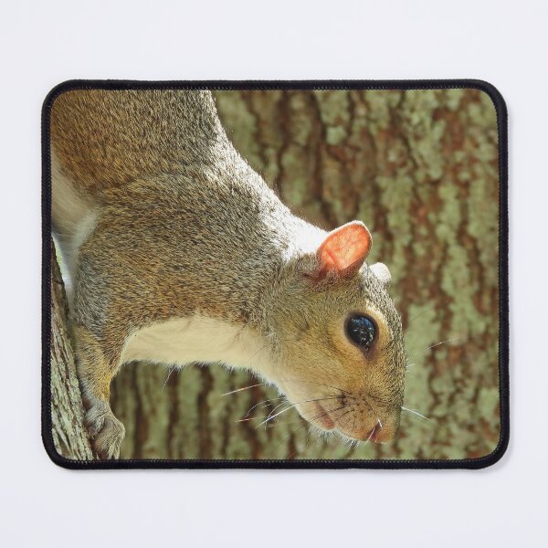 Item preview, Cute Squirrel #0042 designed and sold by Jeffrey Mask.