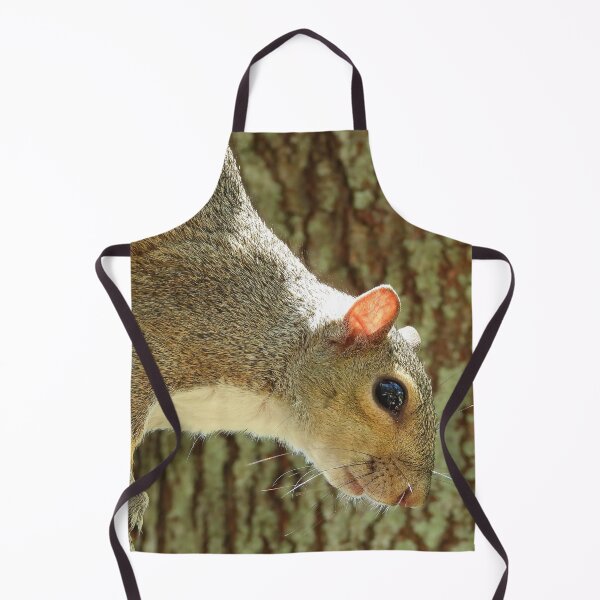 Item preview, Cute Squirrel #0042 designed and sold by Jeffrey Mask.