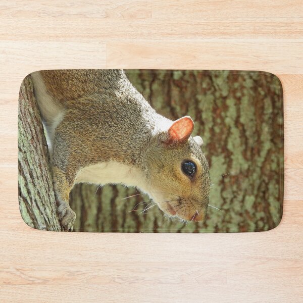 Item preview, Cute Squirrel #0042 designed and sold by Jeffrey Mask.