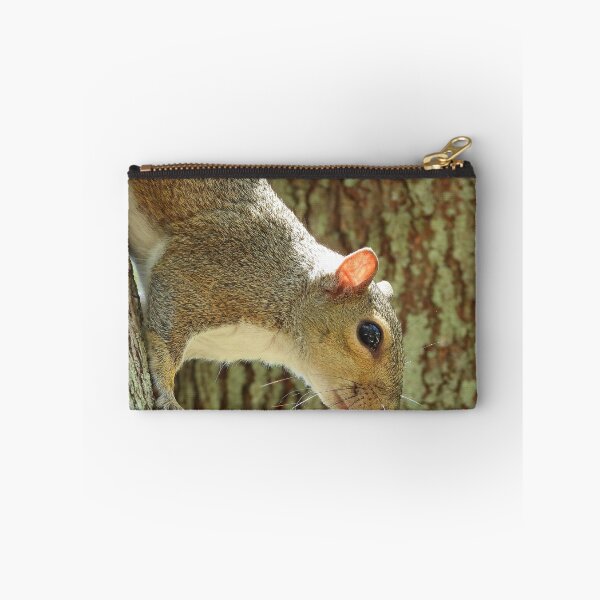 Item preview, Cute Squirrel #0042 designed and sold by Jeffrey Mask.