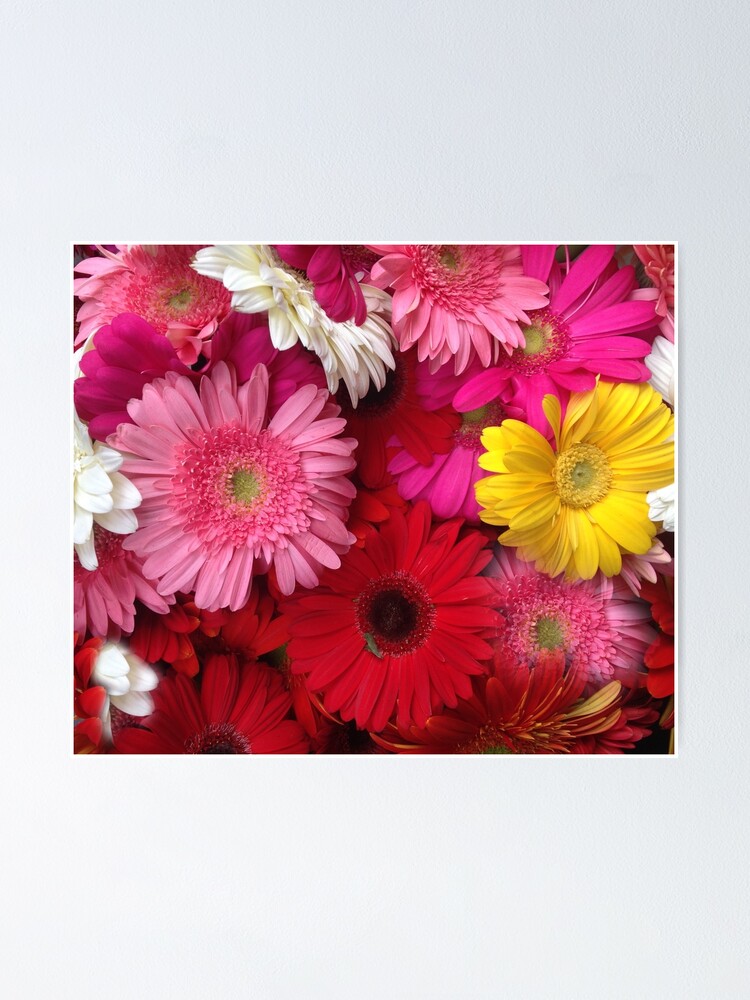 "FLOWERS ALL AROUND" Poster for Sale by damek Redbubble
