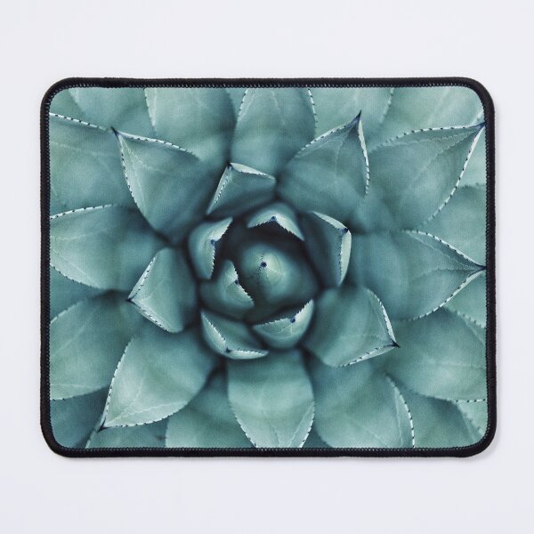 Item preview, Succulent Cactus Plant designed and sold by Jiksy.